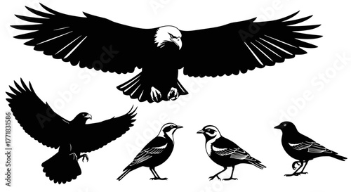 eagle vector set
