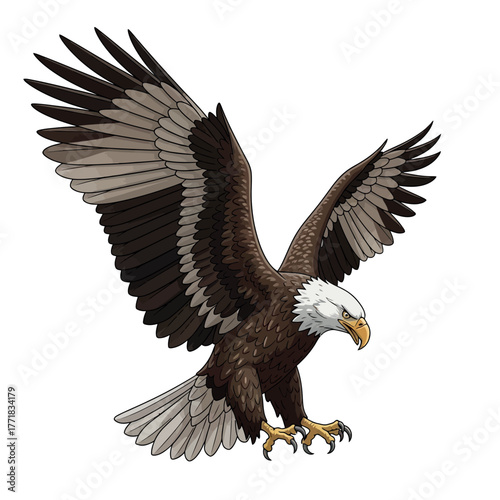American bald eagle vector illustration
