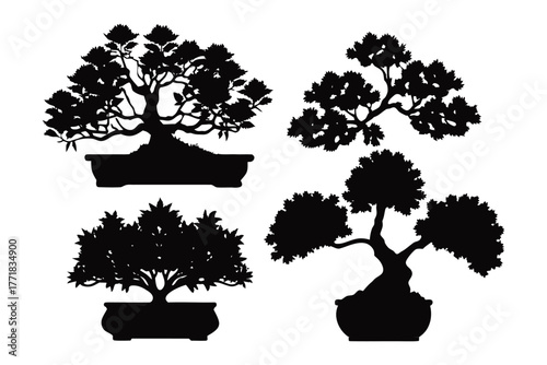 Bonsai Collection: A curated ensemble of miniature bonsai trees showcased against a clean backdrop, capturing the essence of tranquility and the art of cultivation.