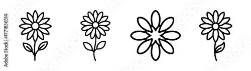 Simple hand drawn aster flowers collection charming outline floral elements for designs