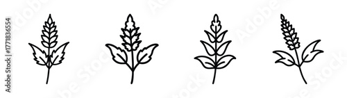Four delicate astilbe flower sprigs with detailed foliage rendered in a minimalist line art style
