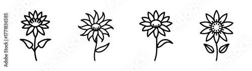 Four stylized line art bee balm flower designs with stems and leaves