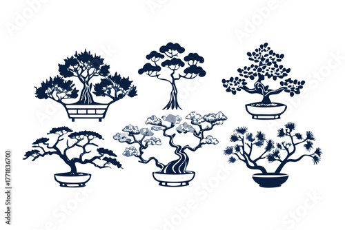 Bonsai Tree Collection: Showcasing a serene collection of miniature bonsai trees, each one a testament to the patient artistry of nature and the meticulous care of horticulture. 