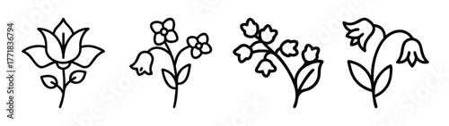 Collection of delicate floral line art designs featuring tulips bellflowers and forgetmenots