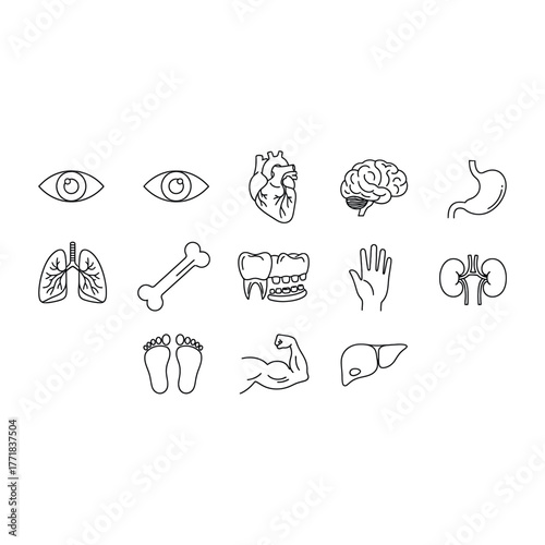 Set of human organs icons contains eye, heart, brain, stomach, lung, bone, teeth, hand, kidney