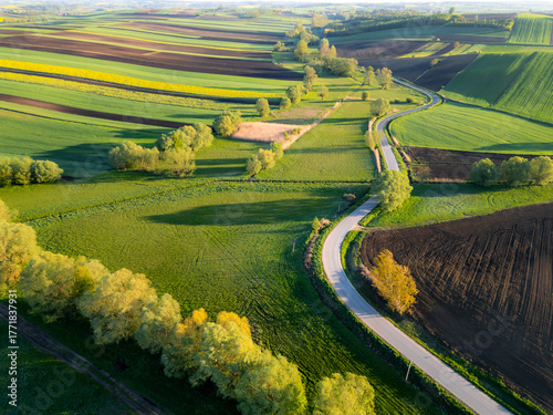 Aerial view of winding road in Ponidzie region, surrounded by picturesque farmlands (crop fields) during sunrise, Poland