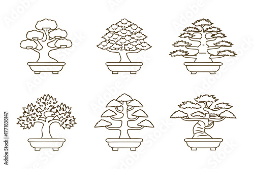 Bonsai Collection: A curated selection of meticulously crafted bonsai trees, each showcasing unique styles and shapes. Representing the art of patience, balance.