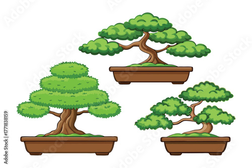 Zen Garden Trio: Three meticulously crafted bonsai trees, each a miniature masterpiece of nature, stand gracefully in their elegant ceramic pots. Embodying tranquility, art.