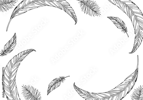 Frame of feathers and fluff. Vector ink styled handmade illustration. For packaging design, cards, cover, prints, product labels and fabric.