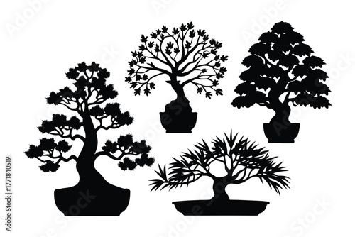 Bonsai Silhouette: A collection of bonsai trees in silhouette, showcasing the art of miniature tree cultivation, evoke a sense of tranquility and artistic expression.
