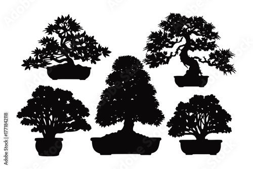 Silhouette Bonsai Trees: A striking composition of bonsai trees, meticulously crafted, each in a unique silhouette, arranged to showcase their artistic forms and the elegance of miniature landscapes.