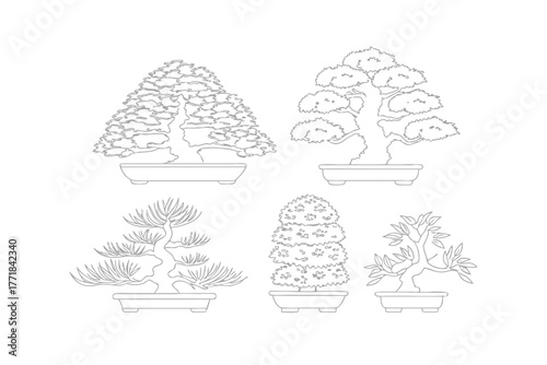 Bonsai Variety: Artistic line drawing of five distinct bonsai trees, each meticulously rendered and poised in a traditional ceramic pot, showcasing the art of miniature landscapes.