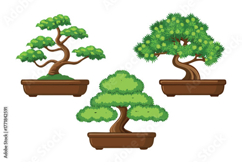 Artistic Trio: An image presenting three distinct bonsai trees, each meticulously crafted and nestled within their ceramic pots, showcasing the artistry of cultivating miniature trees