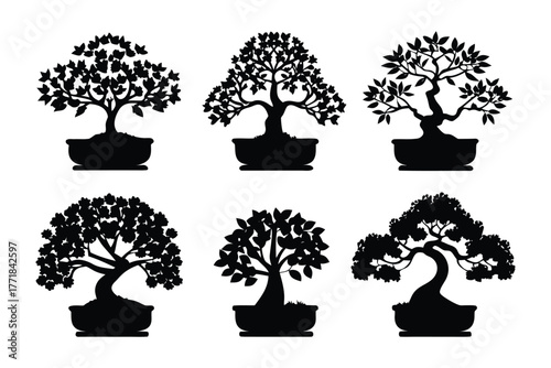 Bonsai Tree Collection Silhouette: A collection of bonsai trees in silhouette showcasing the artistic and horticultural beauty of these miniature trees.