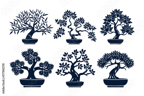 Bonsai trees in collection: A group of Bonsai trees showcase the artistry of nature. The collection of miniature trees, each pruned and shaped with care.