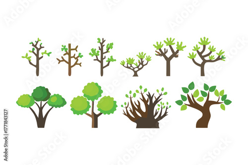 Varied Trees Illustration: An assortment of stylized trees, each displaying unique characteristics in its form and foliage, representing the diverse beauty of nature.
