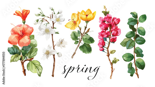 Vibrant Collection of Spring Flowers in Vector Illustration