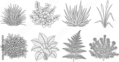 Hand drawn plants set, botanical illustration line art, isolated garden elements, vintage engraving sketch, monochrome editable vector.
