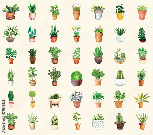 Trendy collection of home cute plants and succulents in flowerpots pack icons. Set of houseplants and cacti in pots modern illustrations. Cozy vector decorative elements