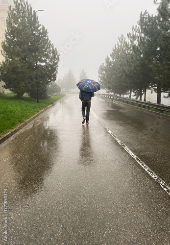 person walks alone on rainy street, holding blue umbrella. Trees line the road, and the ground is wet from the rain. Fog obscures the background, autumn