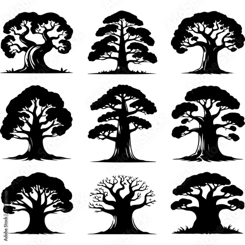 Collection of deciduous tree silhouettes for design