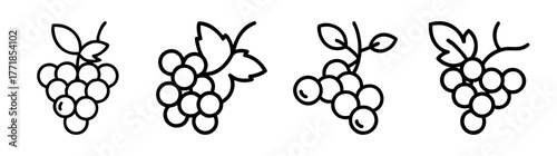 Simple outline clusters of blackcurrants with leaves hand drawn style food icons