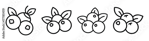 Charming hand-drawn blueberry sprigs with leaves for natural food designs