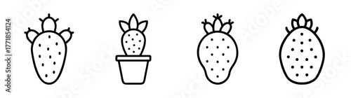 Set of four stylized cactus and fruit icons simple line drawings for design