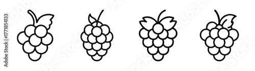 Four hand drawn boysenberry clusters ready for your designs