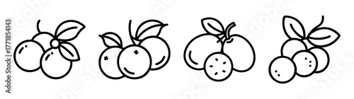 Camu camu fruit cluster line art outline sketch healthy superfood tropical berry