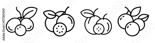 Hand-drawn camu camu fruit icons with leaves and sliced sections