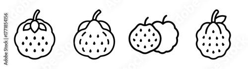 Cherimoya fruit line art icons set tropical food graphics strawberry guava line drawing