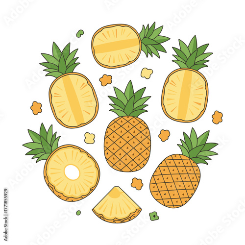 Pineapple fruit illustration with whole and cut pieces