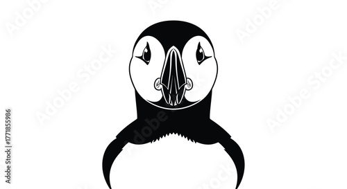 The head of a puffin is shown on a white background with black and white coloration.