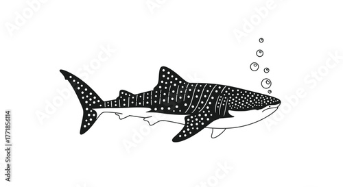 A detailed illustration of a whale shark swimming with bubbles.