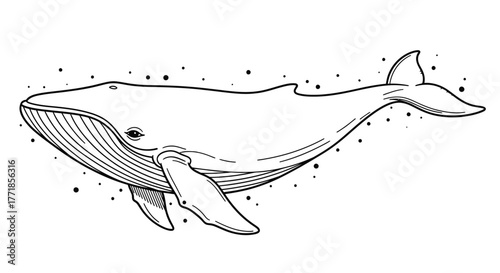 A majestic whale swims through a starry celestial ocean.