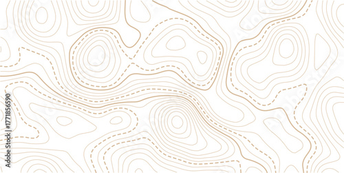 Topographic gold luxury map background. Geographic abstract pattern. The topo contour or wallpaper. Mountain trail terrain or path.Topographic background and texture, monochrome image. 3D waves