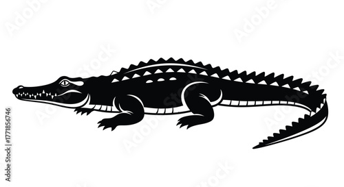 A stylized black alligator silhouette is shown against a white background, featuring sharp details.