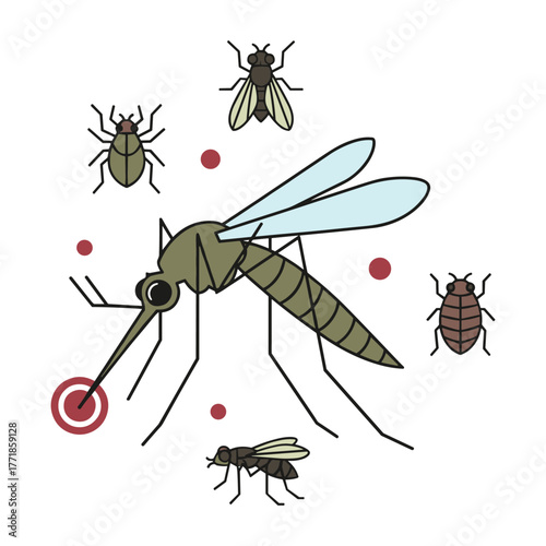 Mosquito and various insect pests biting human skin