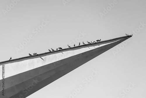 Stadttauben sitzen auf einem spitzen Dachvorsprung