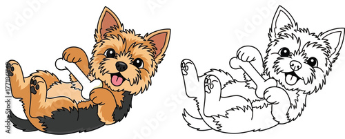 Cute Cartoon Yorkshire Terrier Puppy Lying on Back Holding Bone - Playful Yorkie Dog Vector Illustration and Coloring Page