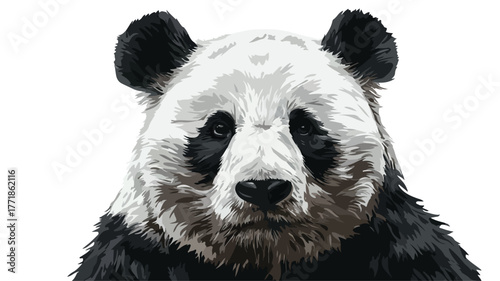 Majestic Panda Bear Portrait Vector Illustration with Outline