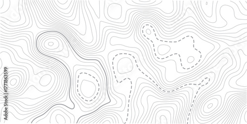 
Abstract Topographic map background with wave line. White wave paper curved reliefs abstract background. Vector illustration.Black and white lines seamless Topographic map patterns.