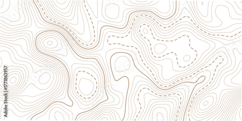 Topographic map background geographic line map with elevation assignments.luxury abstract golden line art design geography concept vector illustration topo contour grid abstract backdrop background.