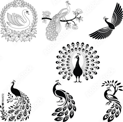 Peacock eps Peafowl Sugg Peacock eps vector detailed cutting file design, Peacock Clipart, Peacock eps temp