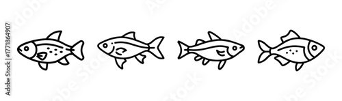 Four hand-drawn celestial pearl danio fish figures in a row