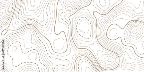 Topographic map background geographic line map with elevation assignments.luxury abstract golden line art design geography concept vector illustration topo contour grid abstract backdrop background.