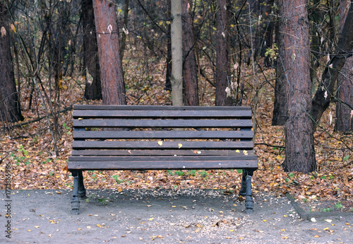 Empty old brown wooden bench in the autumn park against yellow foliage and tree trunks front view