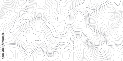
Abstract Topographic map background with wave line. White wave paper curved reliefs abstract background. Vector illustration.Black and white lines seamless Topographic map patterns.