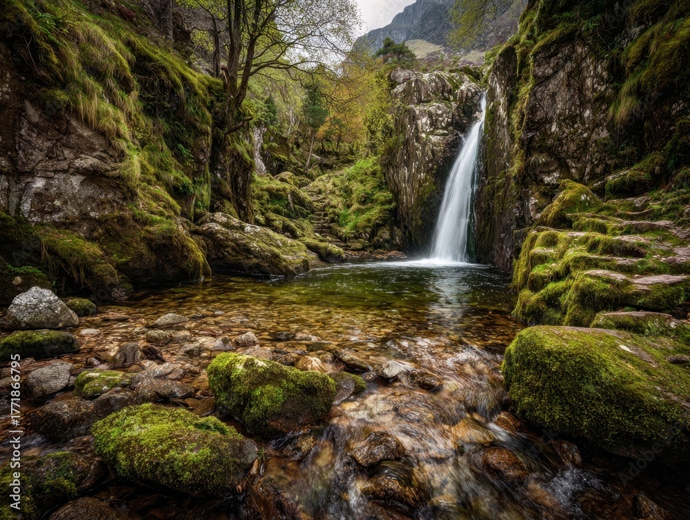 Fototapeta premium Natural Waterfall Landscape Lush Green Mossy Rocks Flowing Water Tranquil Stream Forest Scenery Outdoor Environment Serene Wilderness Beautiful Nature View